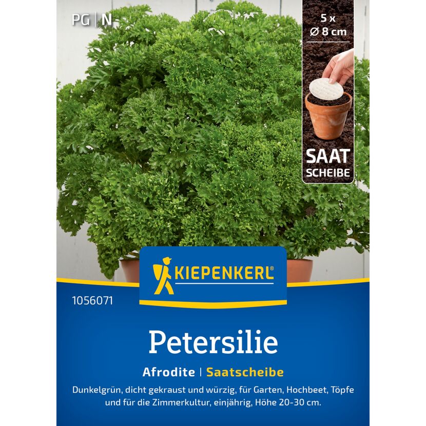 Petersilie 'Afrodite' Saatscheibe Ø 8 cm, 5 Stück