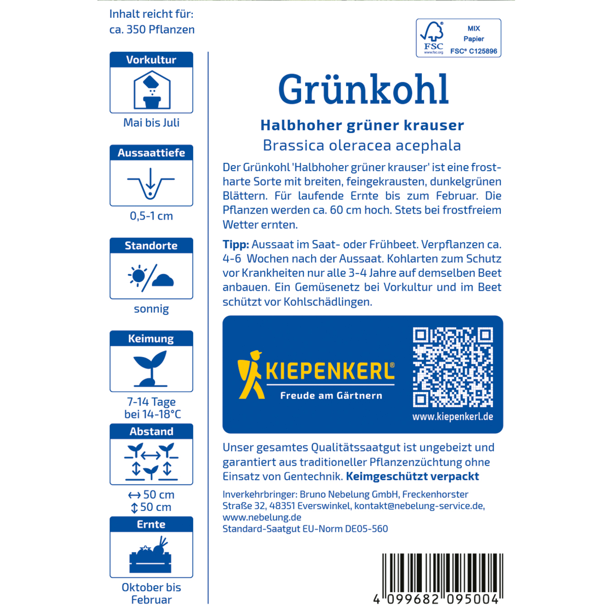 Grünkohl 'Halbhoher grüner krauser'