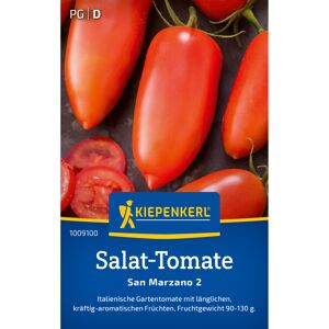 Salat-Tomate 'San Marzano 2'