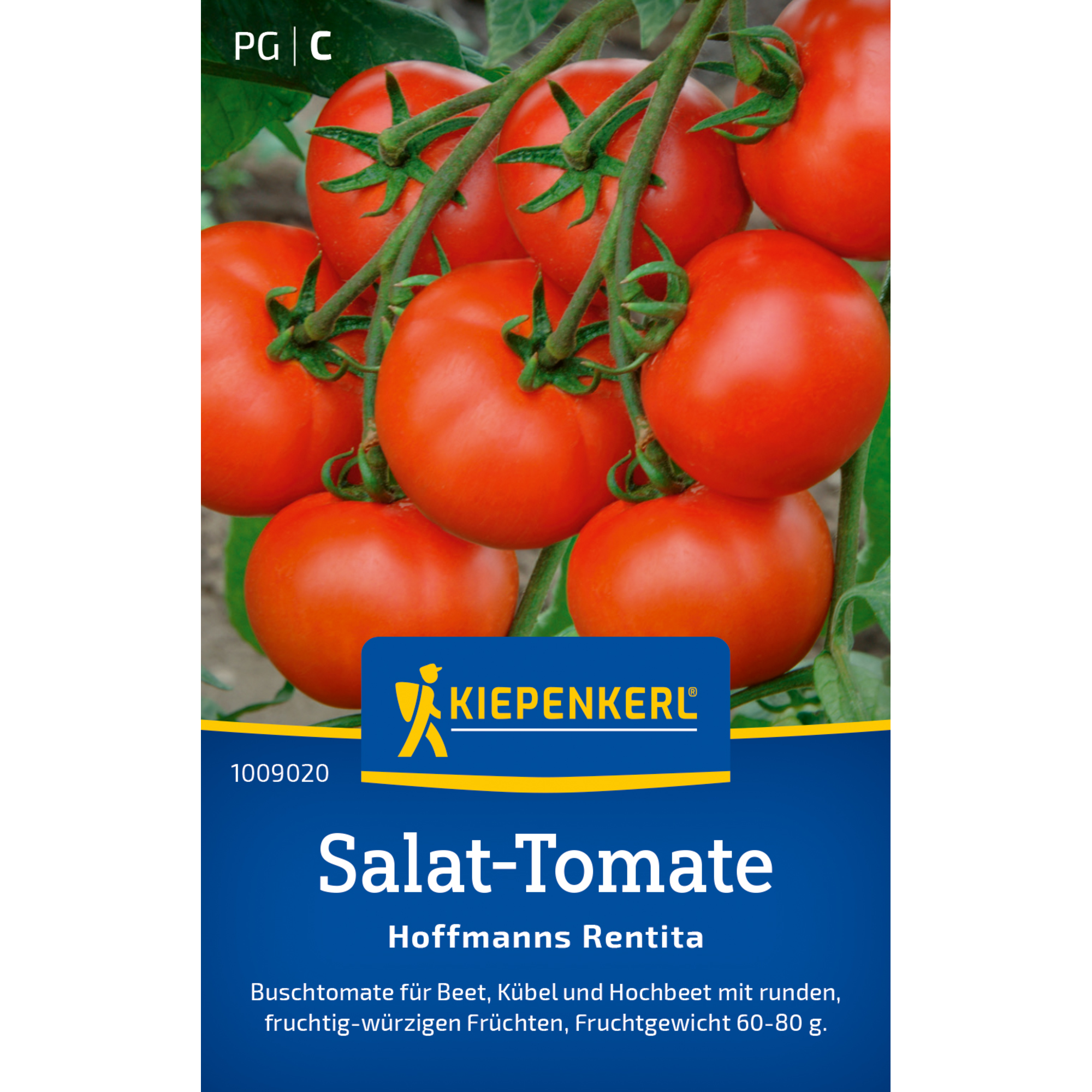 Salat-Tomate 'Hofmanns Rentita'