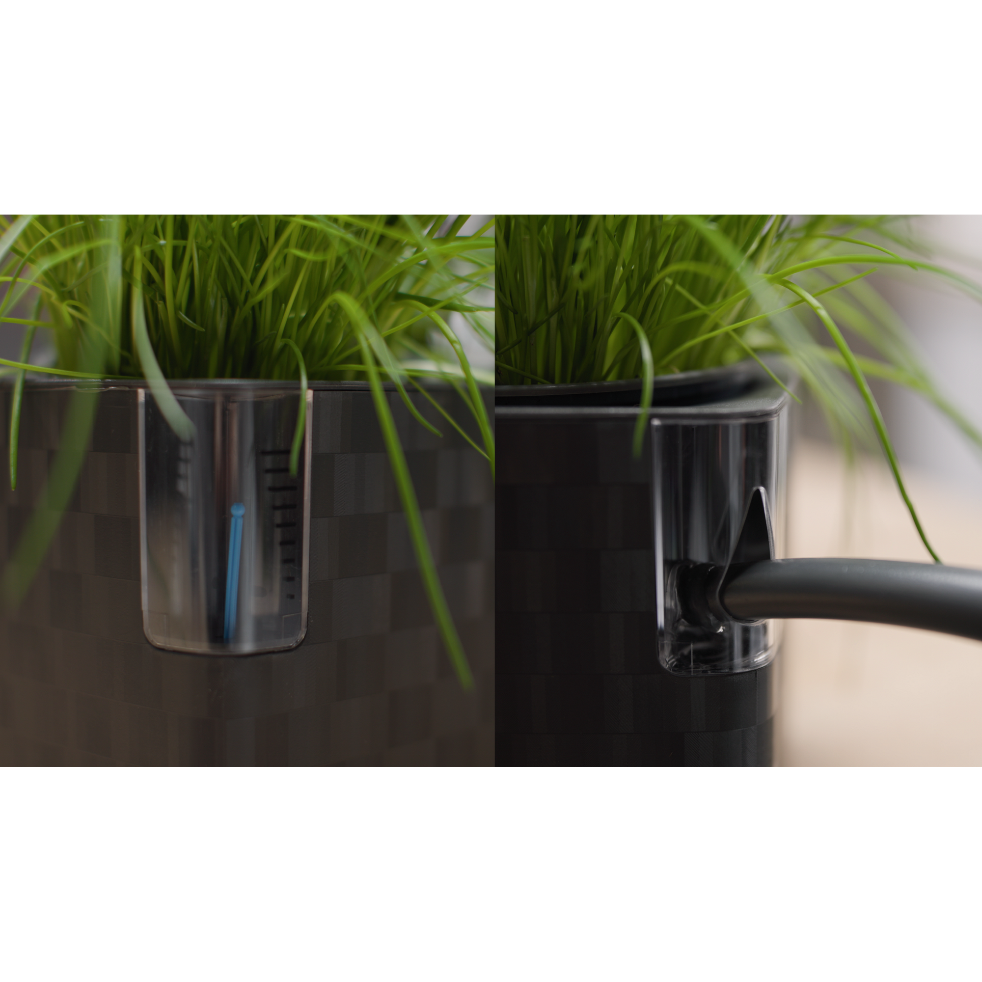 Kräutertopf 'Floris' anthrazit 14 x 14,5 x 14,5 cm mit Bewässerungssystem