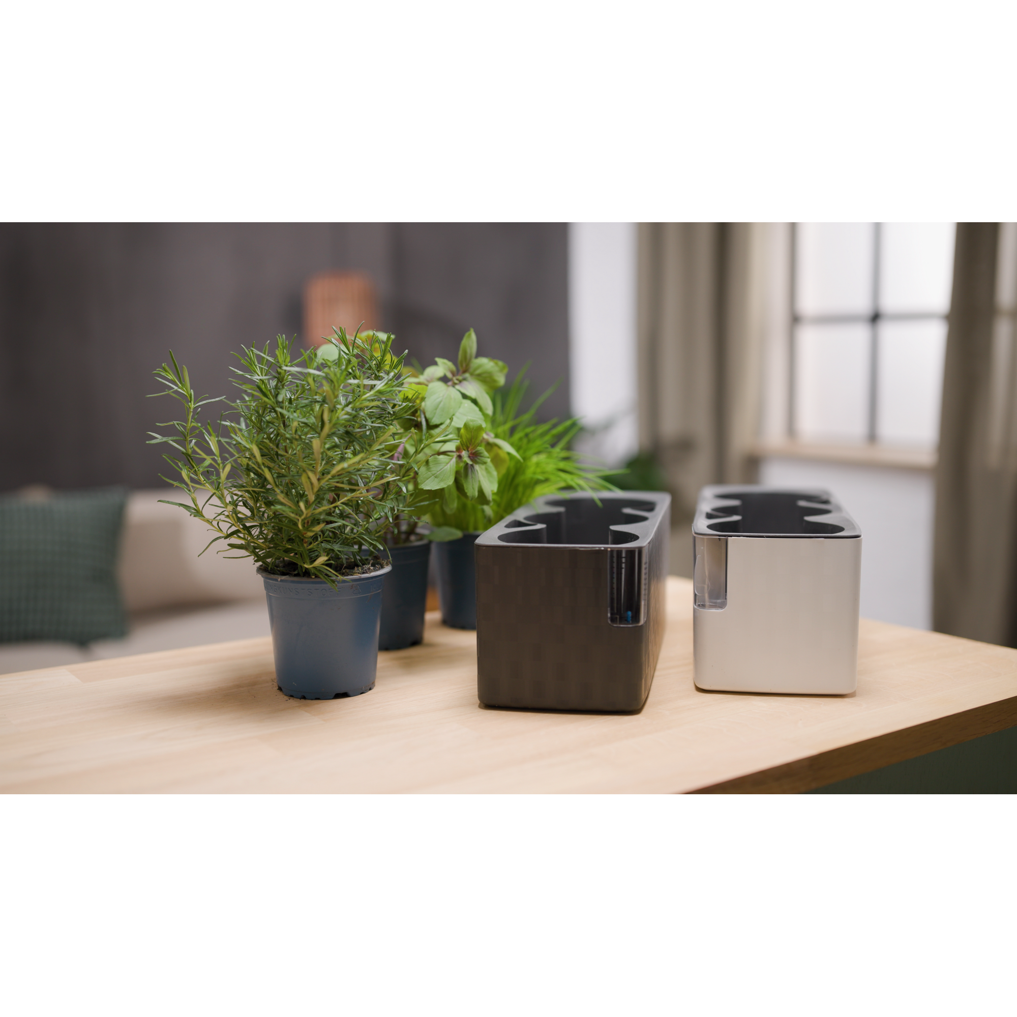 Kräutertopf 'Floris' anthrazit 14 x 14,5 x 40 cm mit Bewässerungssystem