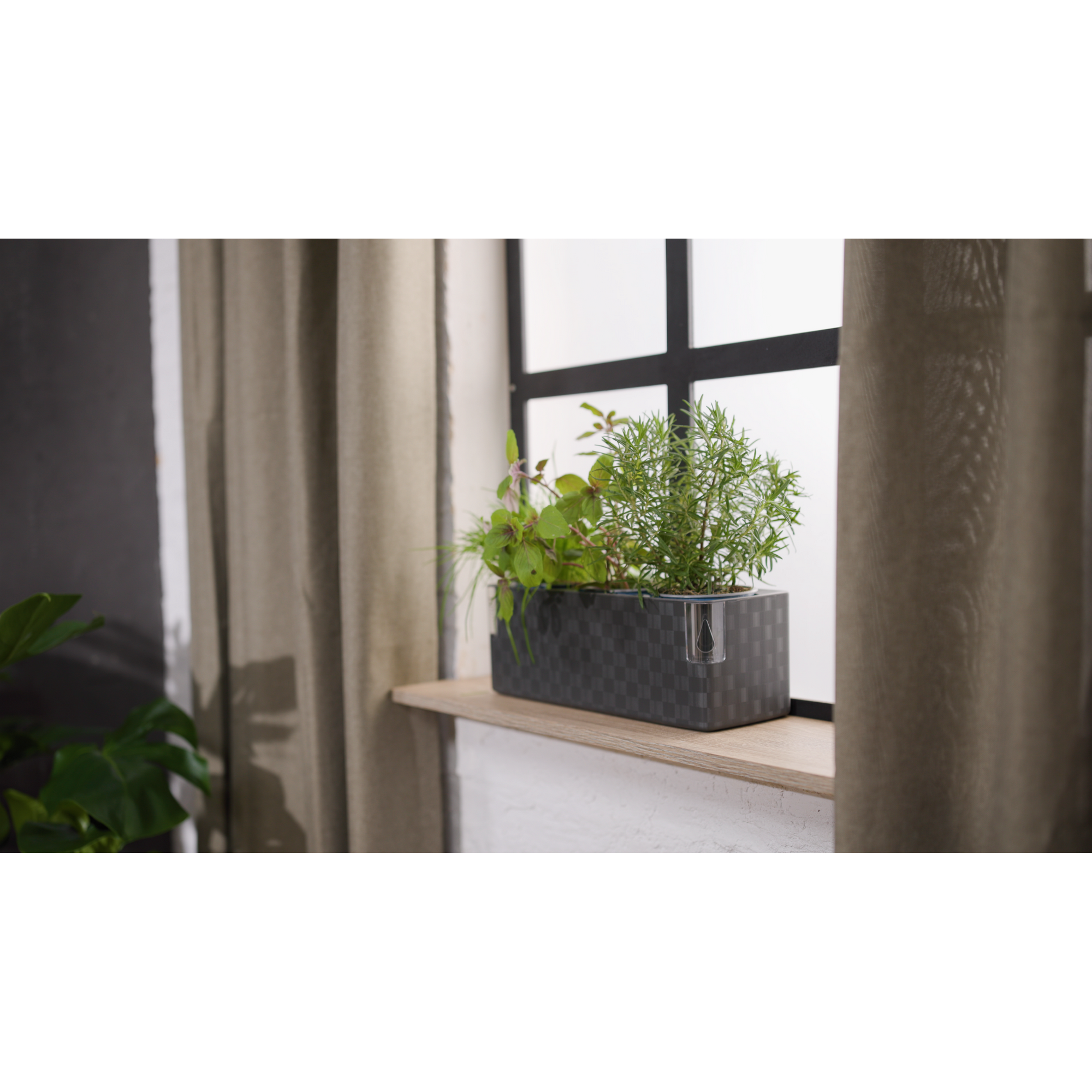 Kräutertopf 'Floris' anthrazit 14 x 14,5 x 40 cm mit Bewässerungssystem
