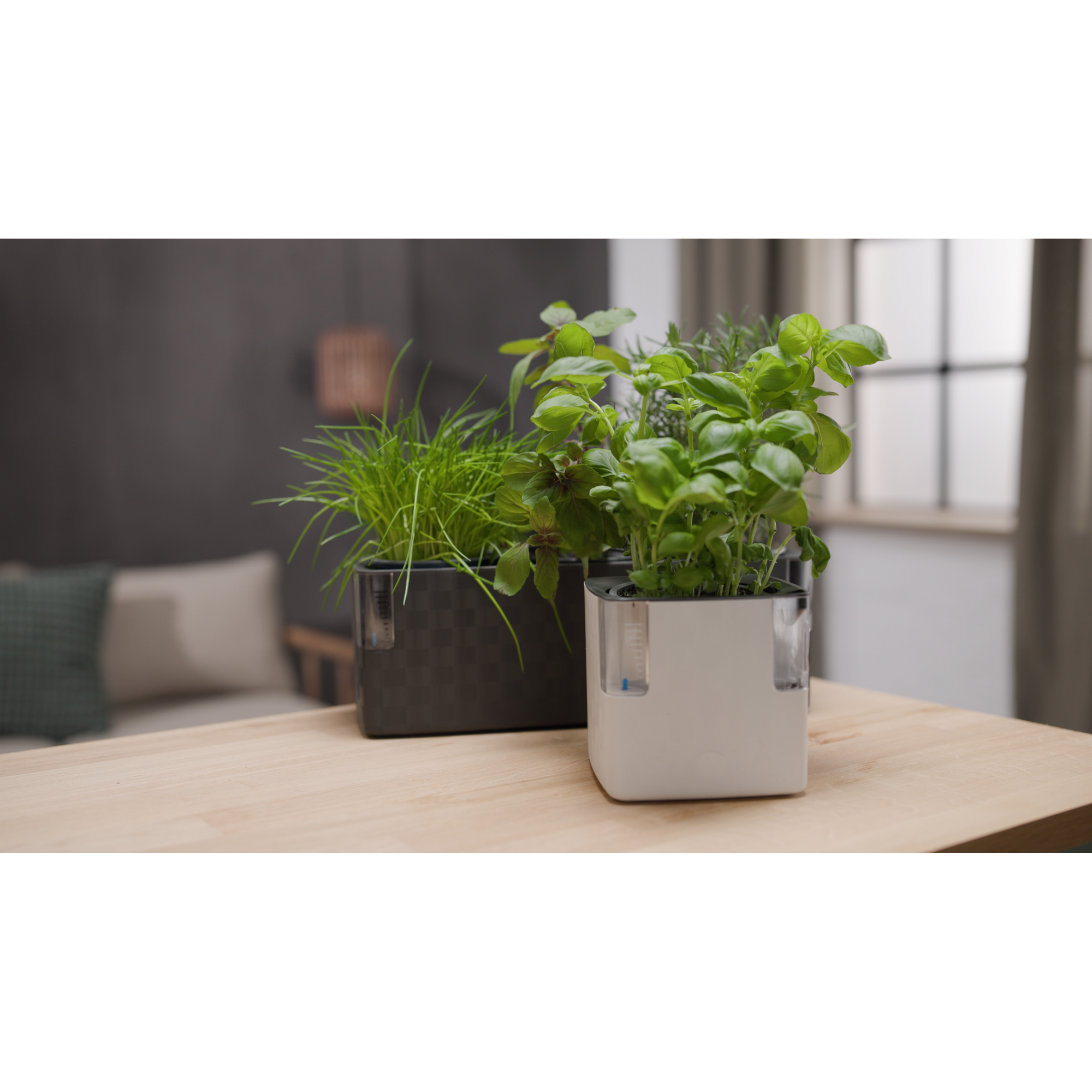 Kräutertopf 'Floris' anthrazit 14 x 14,5 x 40 cm mit Bewässerungssystem