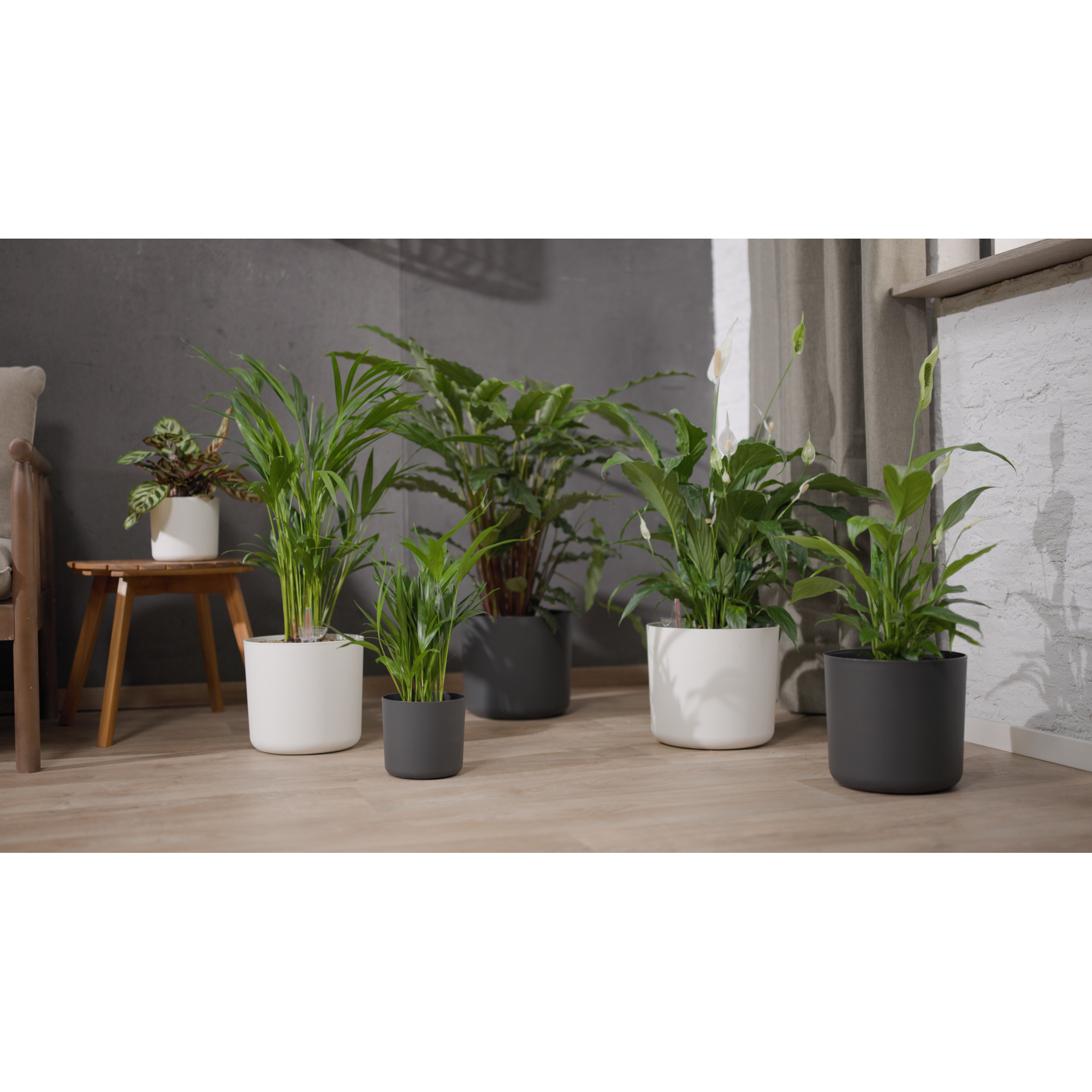 Bewässerungstopf 'Maris weiß Ø 22 cm mit Bewässerungssystem