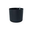 hauptbild