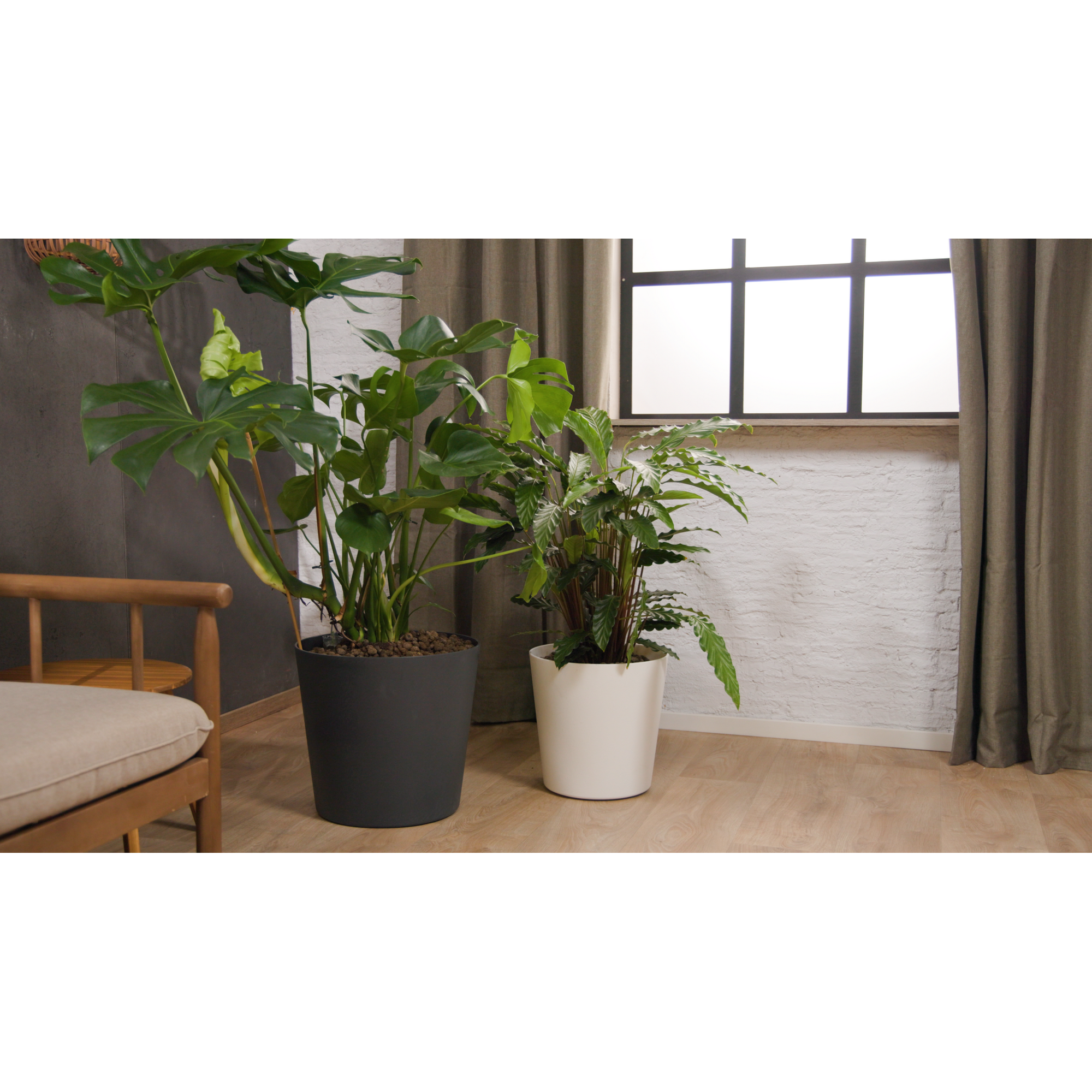 Bewässerungstopf 'Lunaris' anthrazit Ø 33 cm mit Bewässerungssystem