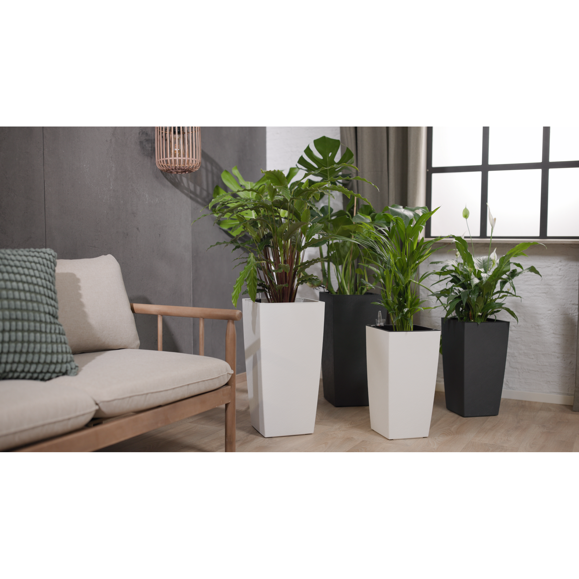 Pflanzvase 'Aqualis' anthrazit 30 x 58 cm mit Bewässerungssystem