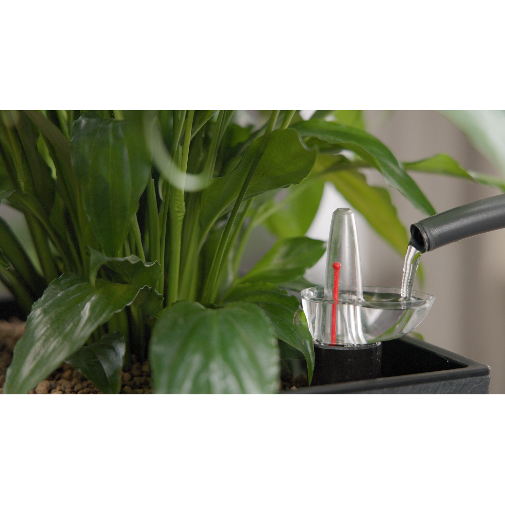 Pflanzvase 'Aqualis' anthrazit 30 x 58 cm mit Bewässerungssystem