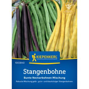 Stangenbohne Mix