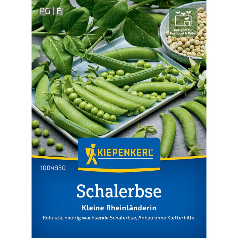 Schalerbse 'Kleine Rheinländerin'
