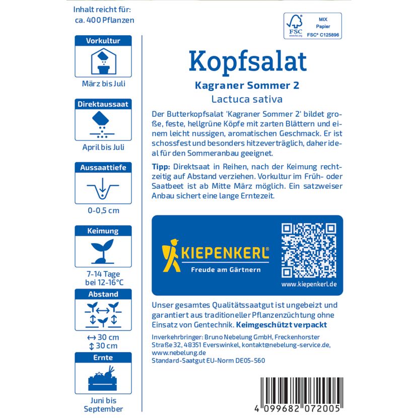 Kopfsalat 'Kagraner Sommer 2'