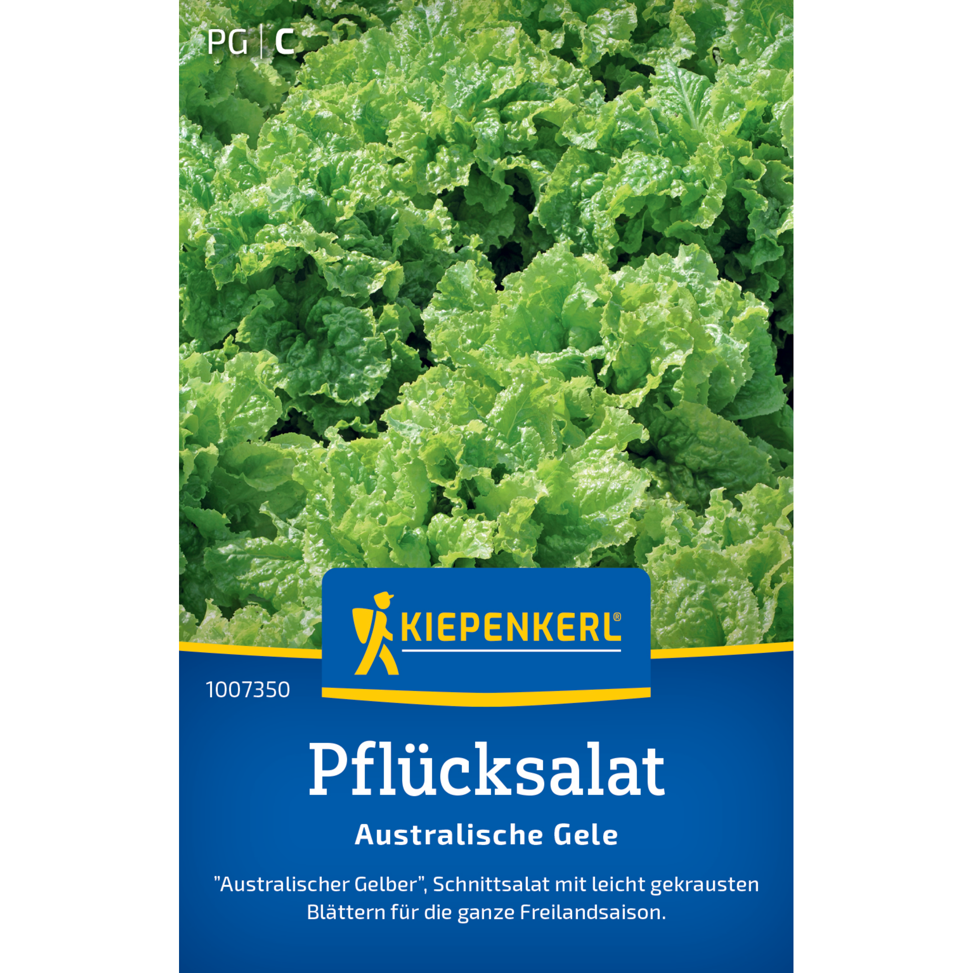 Pflücksalat 'Australische Gele'