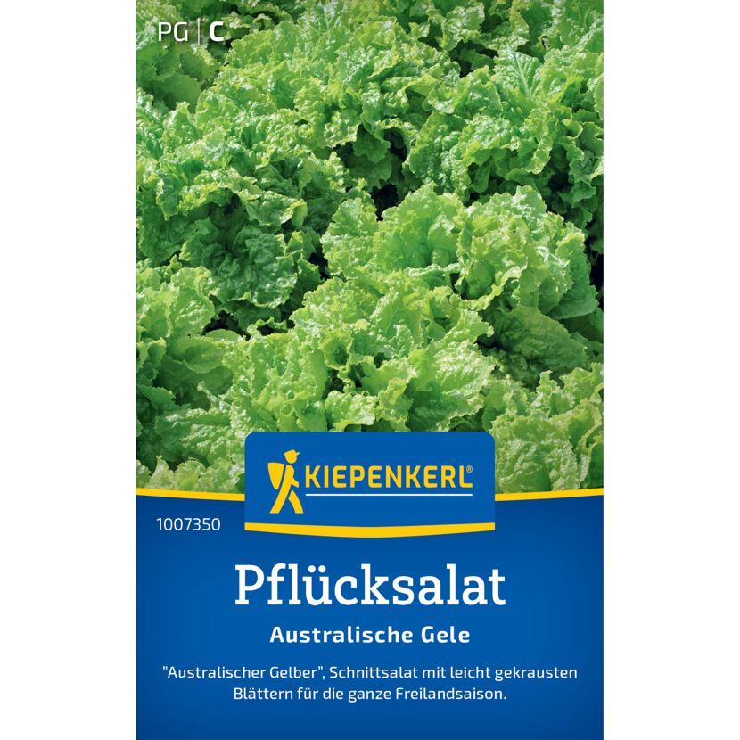 Pflücksalat 'Australische Gele'