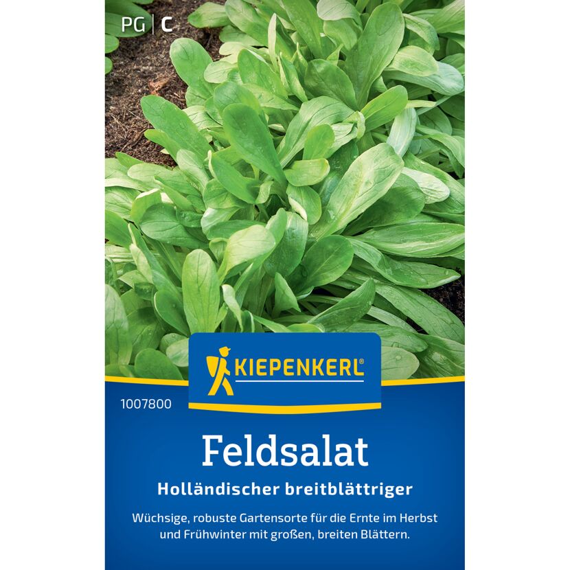 Feldsalat 'Holländischer breitblättriger'