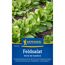Feldsalat 'Verte de Cambrai'