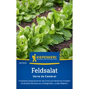 Feldsalat 'Verte de Cambrai'