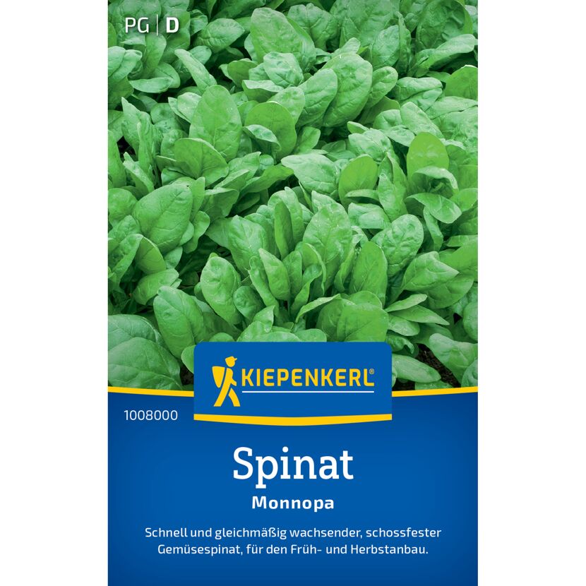 Spinat 'Monnopa'