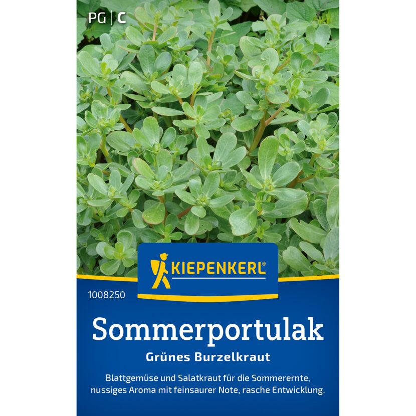 Portulak 'Sommerportulak'