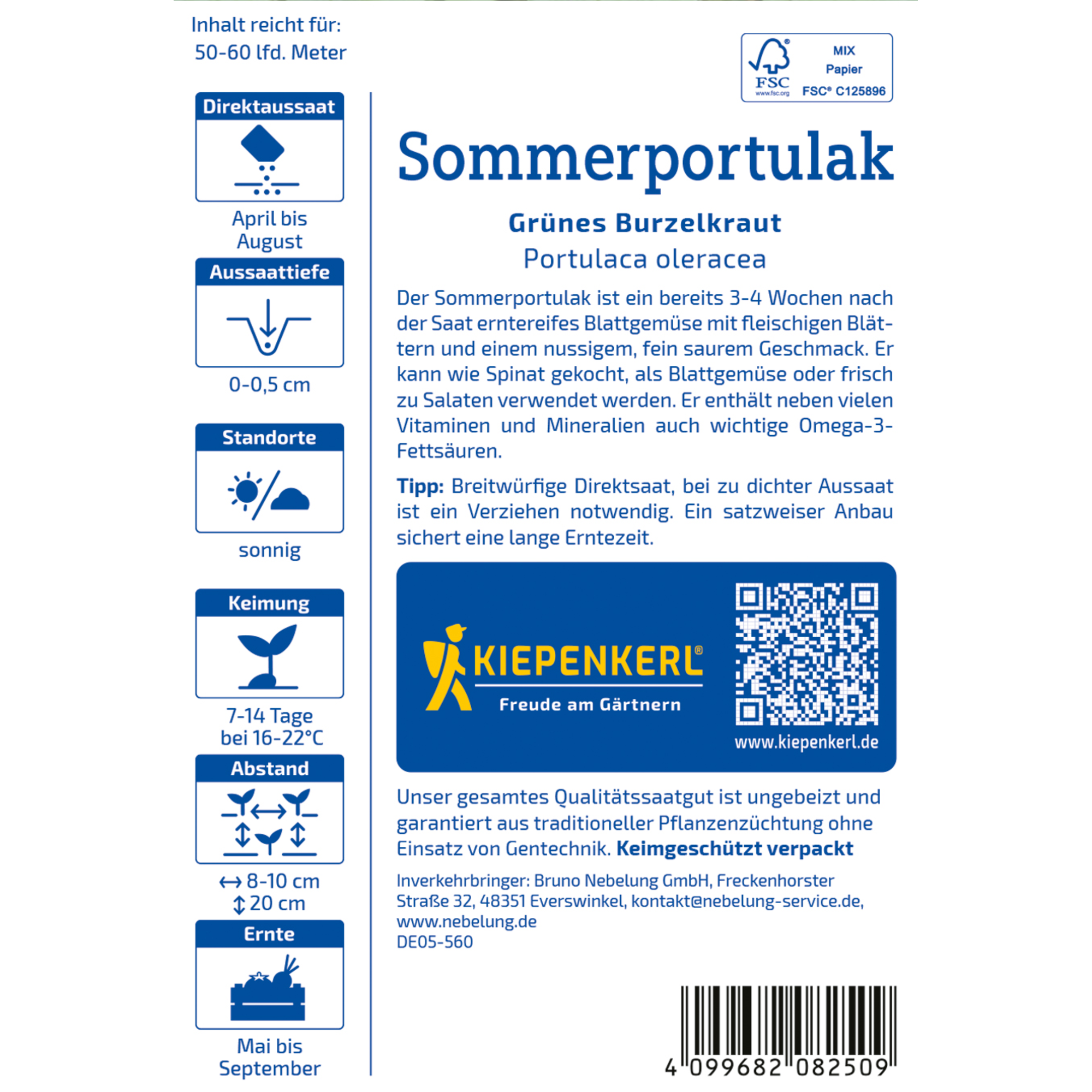 Portulak 'Sommerportulak'