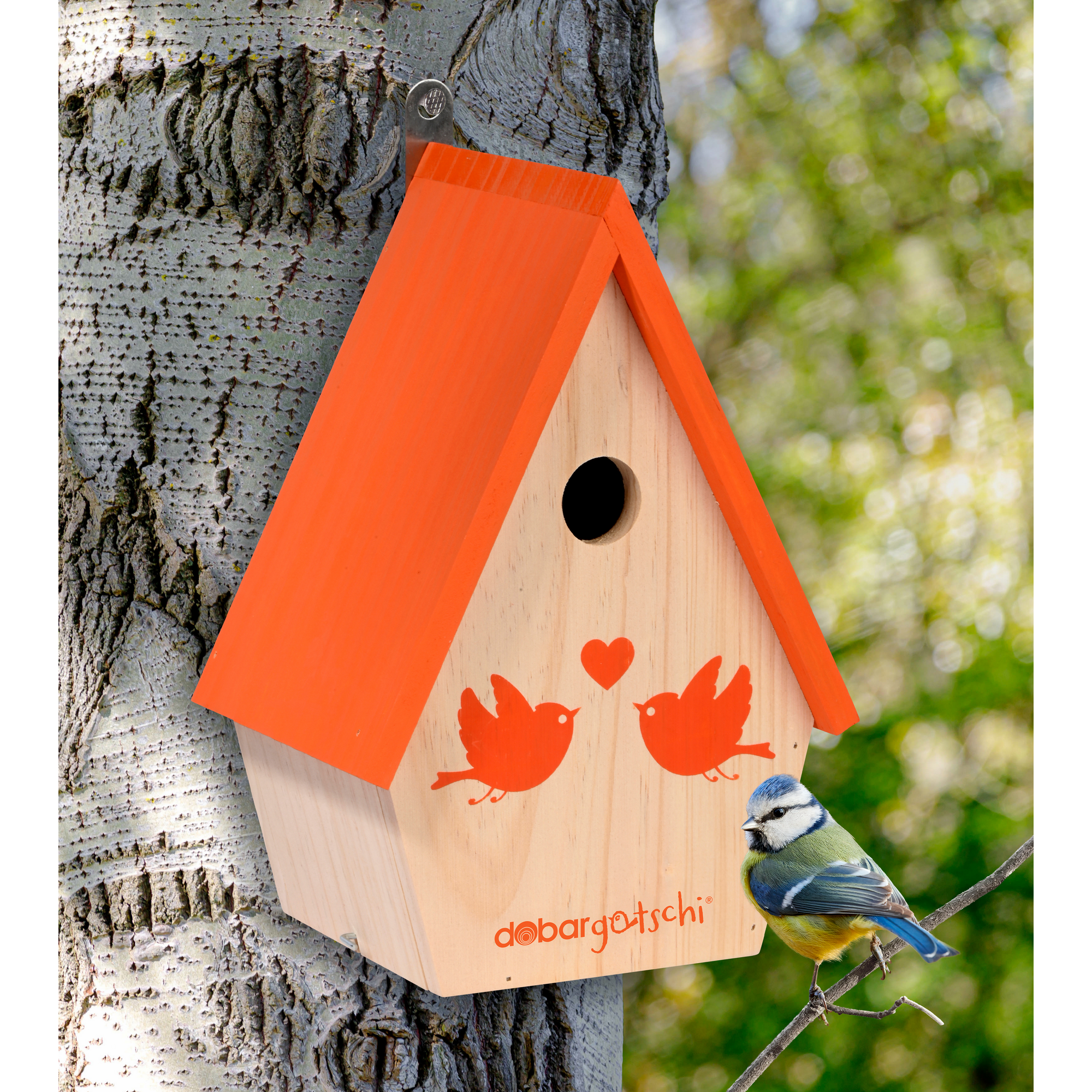 Nistkasten 'dobargotschi' natur/orange, mit App