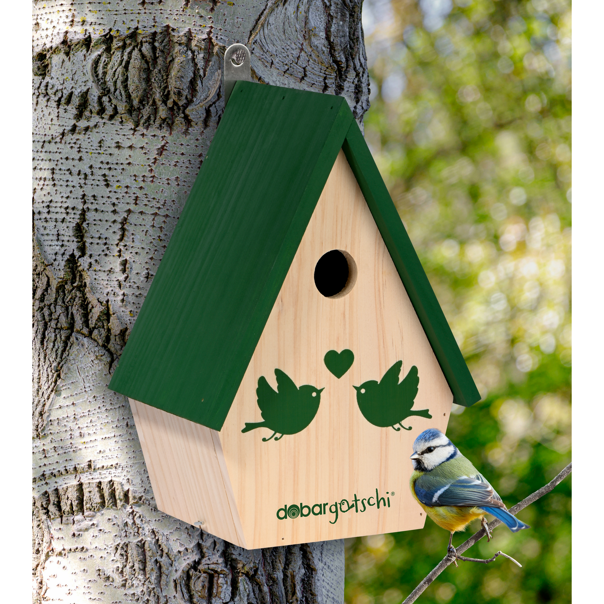 Nistkasten 'dobargotschi' natur/grün, mit App
