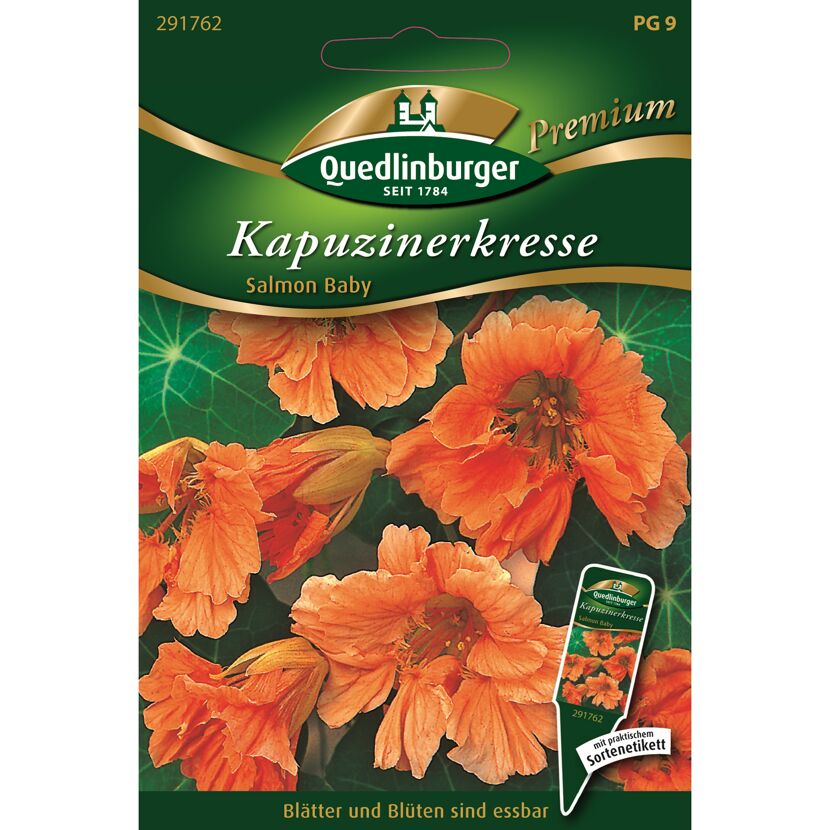 Kapuzinerkresse 'Salmon Baby'