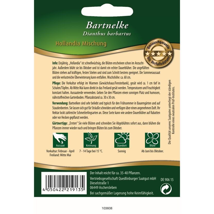 Bartnelke 'Hollandia' Mischung