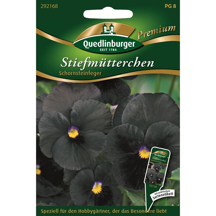 Stiefmütterchen 'Schornsteinfeger'