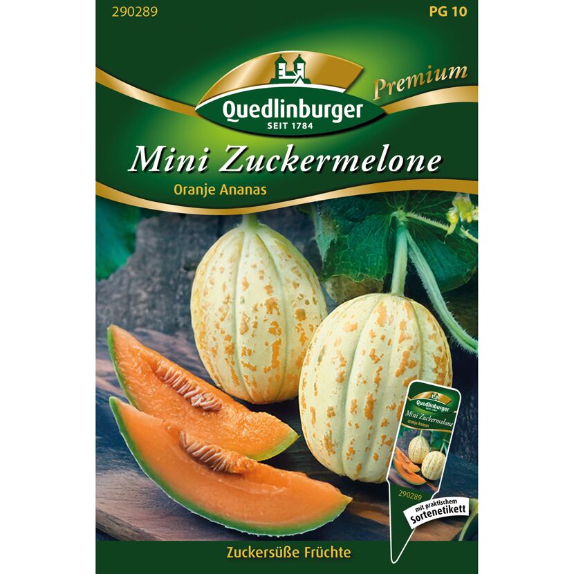 Mini Zuckermelone 'Oranje Ananas