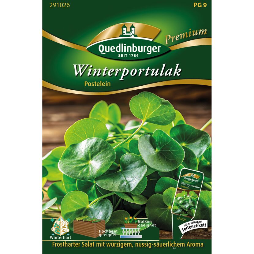 Winterportulak 'Postelein'