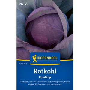 Rotkohl 'Roodkop'