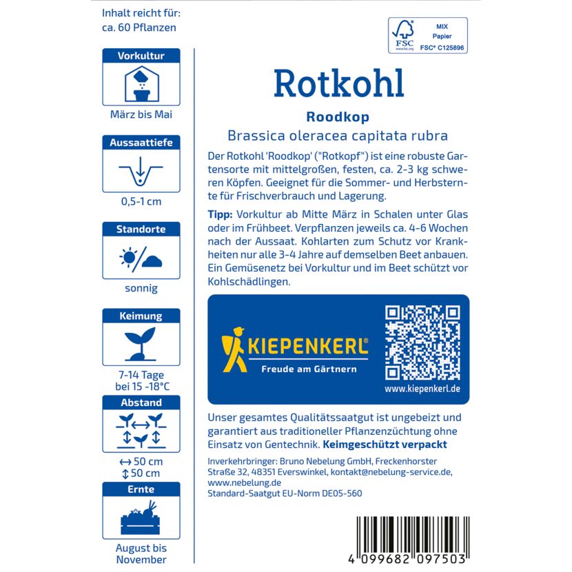 Rotkohl 'Roodkop'