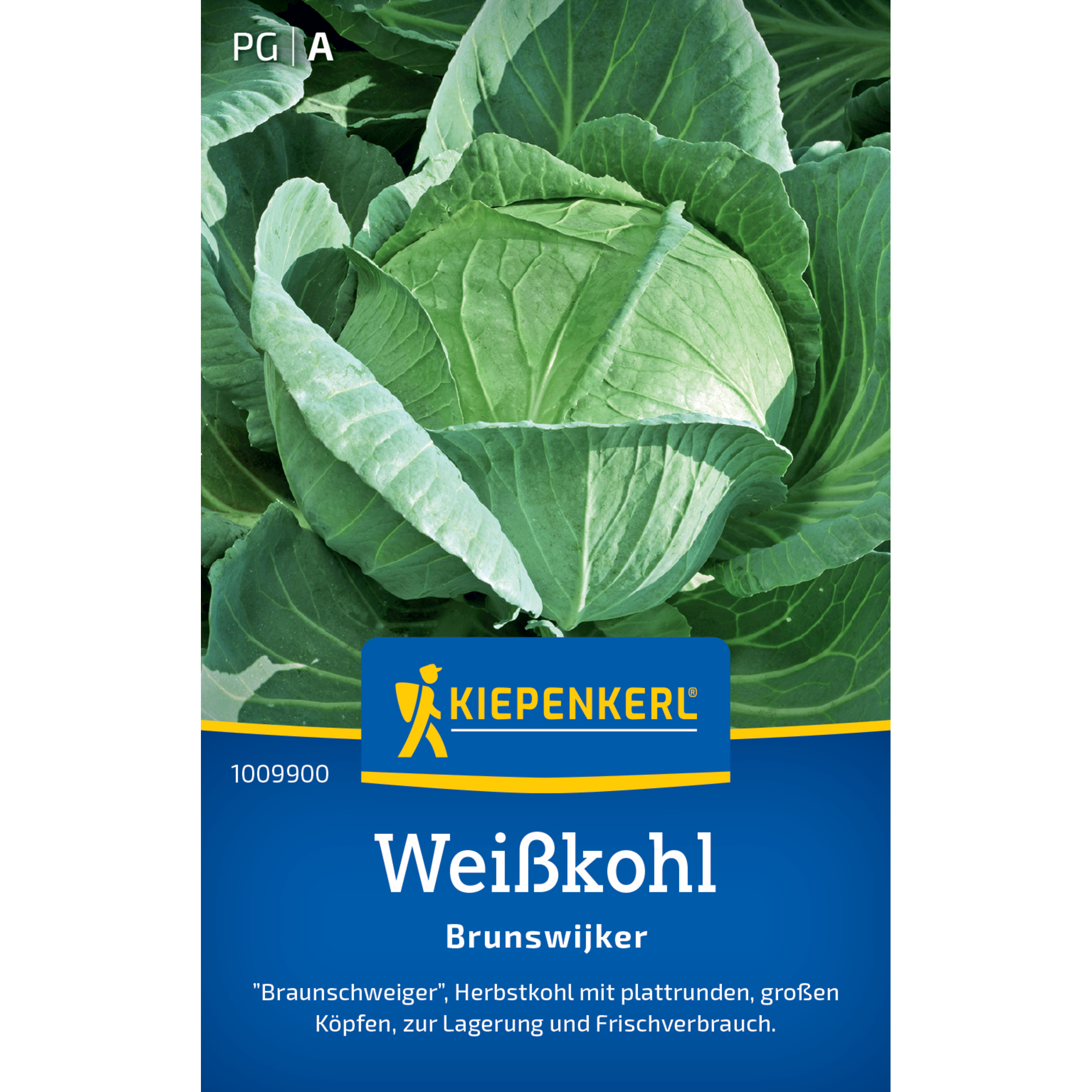 Weißkohl 'Brunswijker'