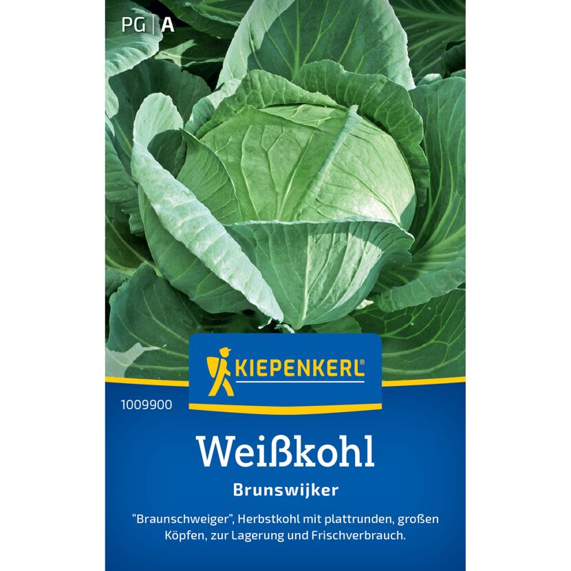 Weißkohl 'Brunswijker'