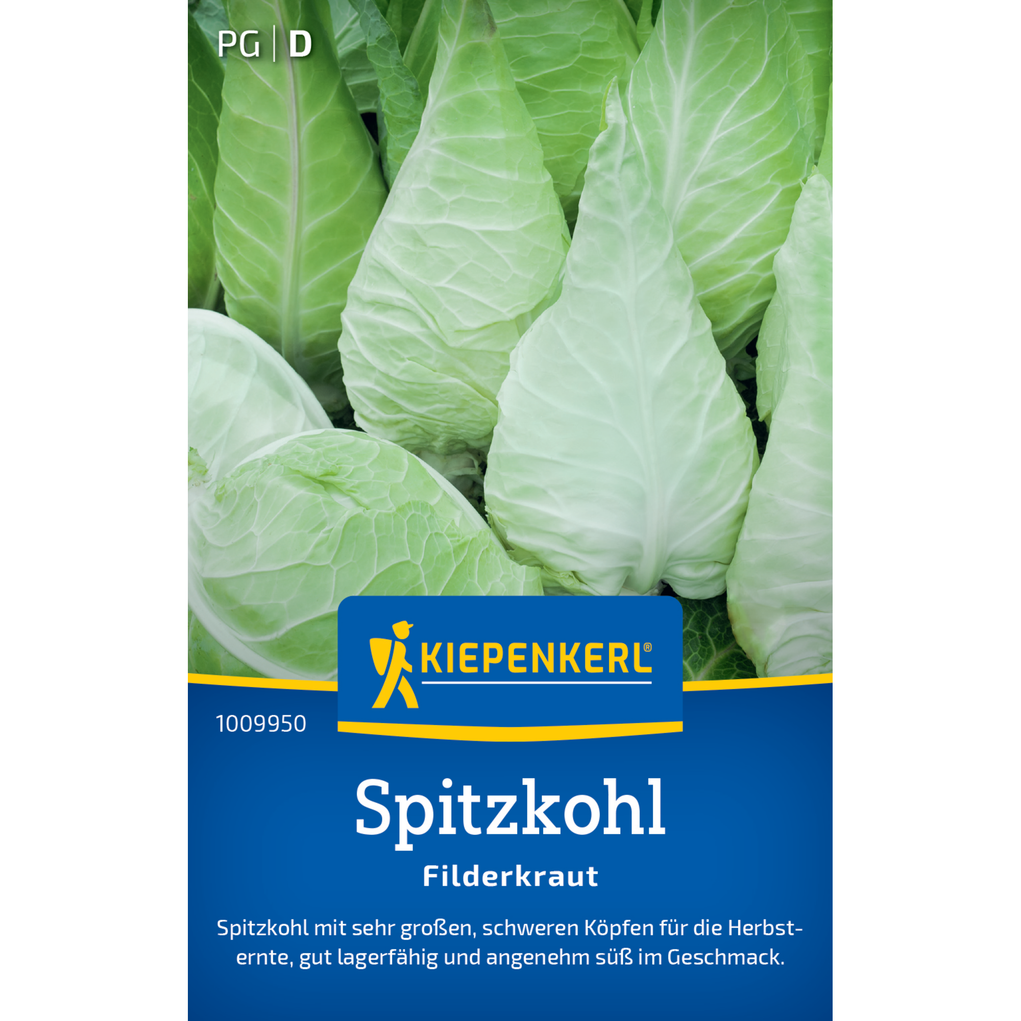 Spitzkohl 'Filderkraut'