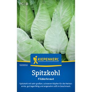 Spitzkohl 'Filderkraut'