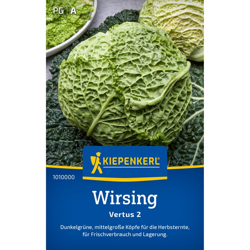 Wirsing 'Vertus 2'