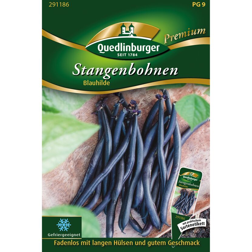 Stangenbohnen 'Blauhilde'