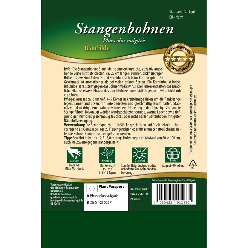 Stangenbohnen 'Blauhilde'