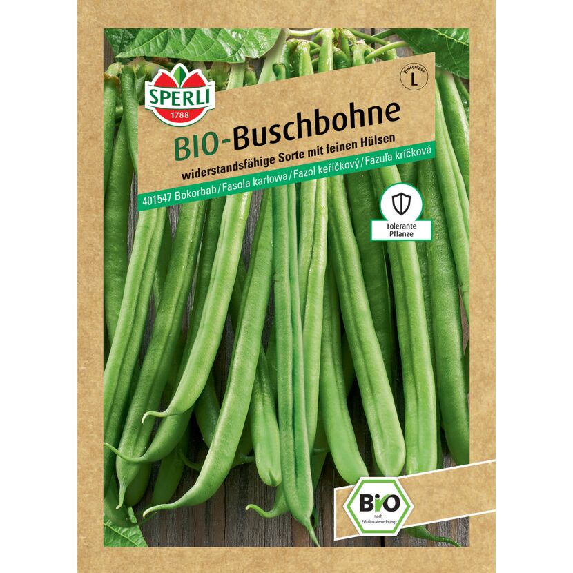 BIO-Buschbohne 'Domino'