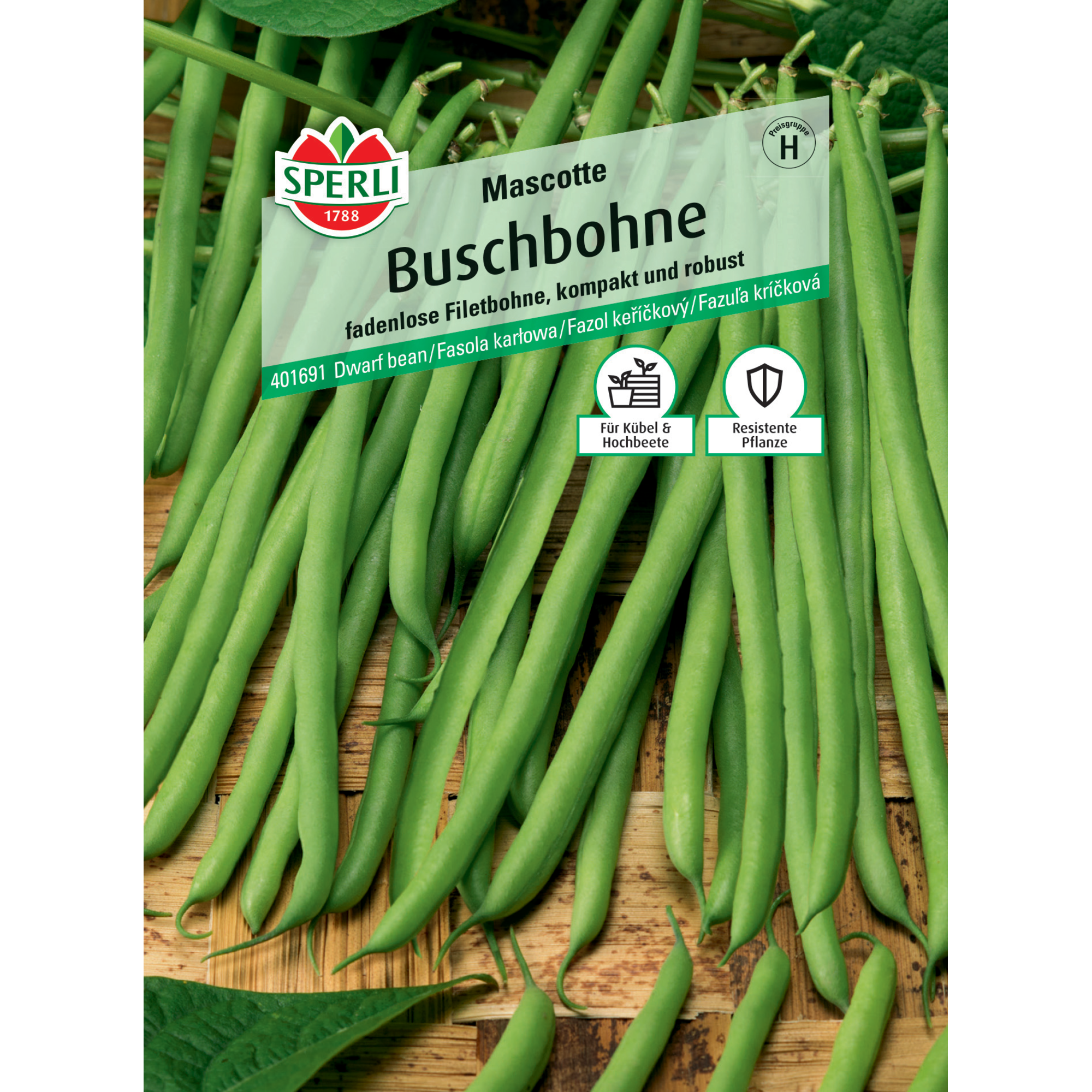 Buschbohne 'Mascotte'