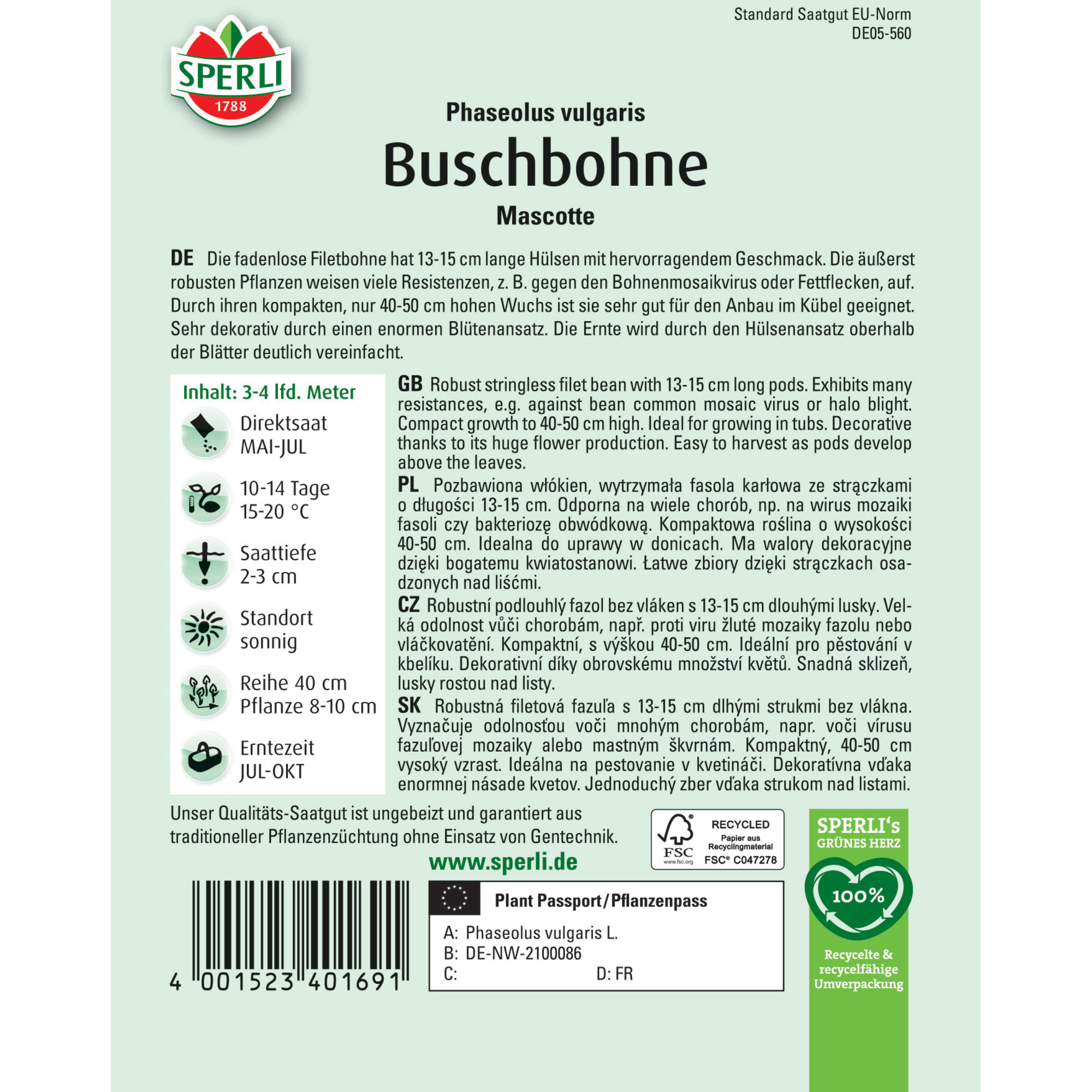 Buschbohne 'Mascotte'