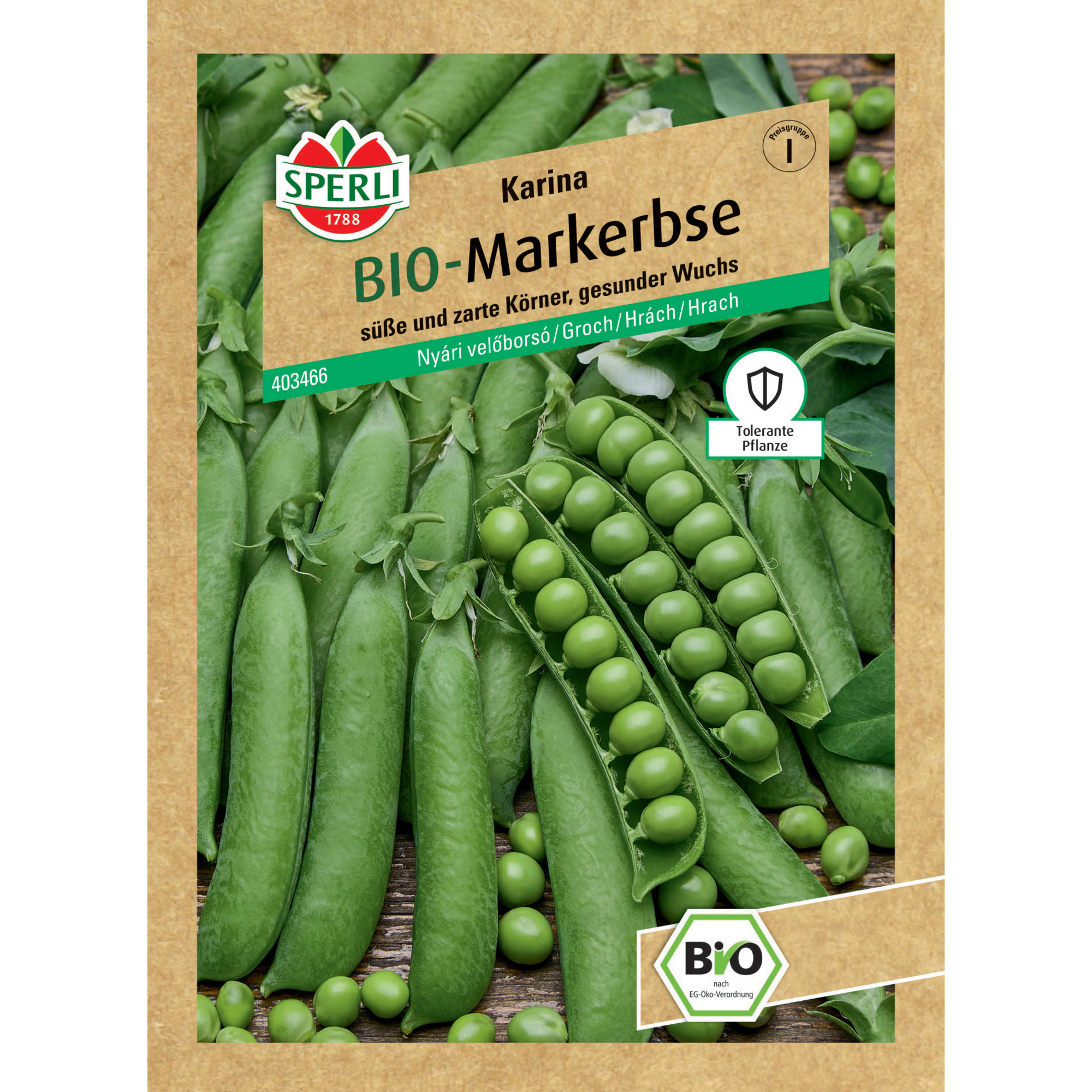 BIO-Sommermarkerbse 'Karina'