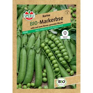 BIO-Sommermarkerbse 'Karina'
