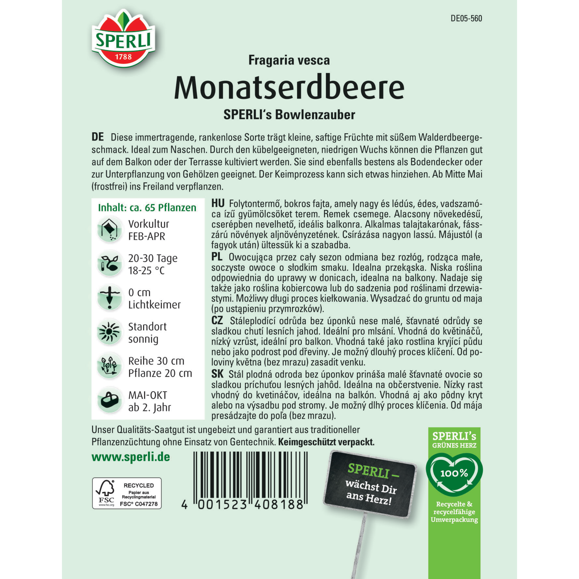 Monatserdbeere 'SPERLI's Bowlenzauber'