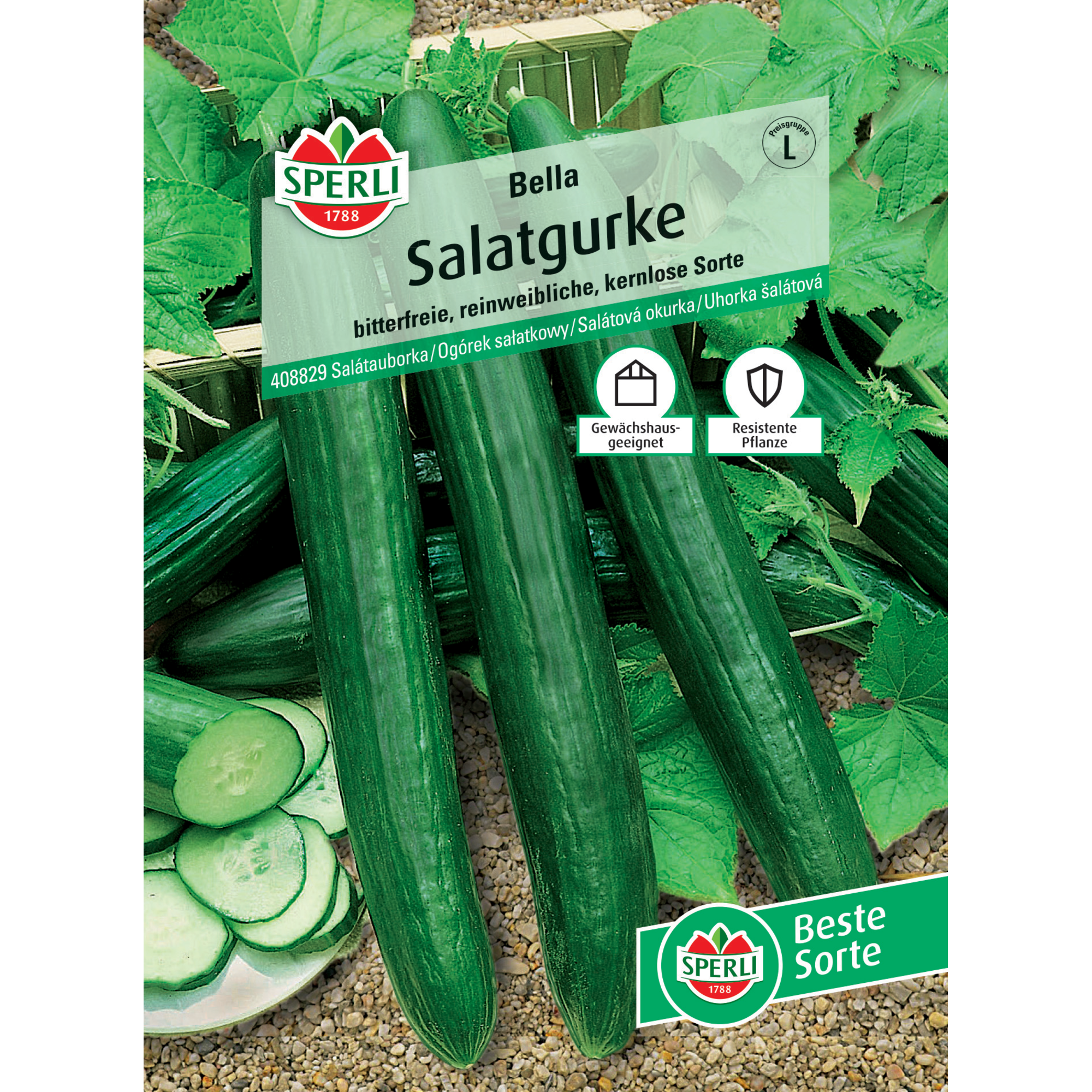 Salatgurke 'Bella' F1-Hybride