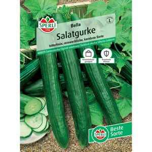 Salatgurke 'Bella' F1-Hybride