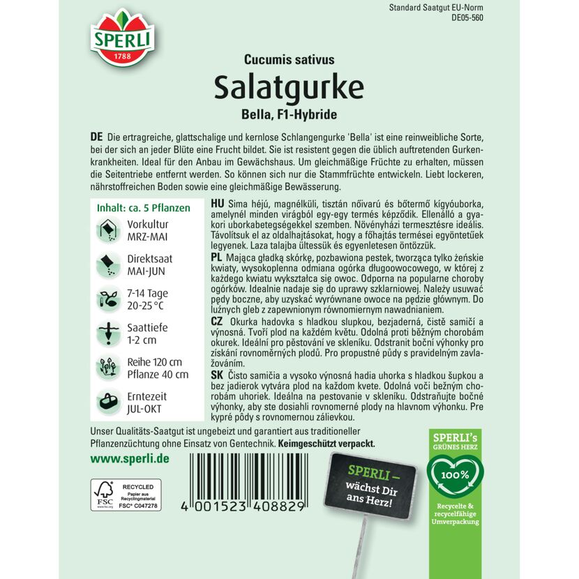 Salatgurke 'Bella' F1-Hybride