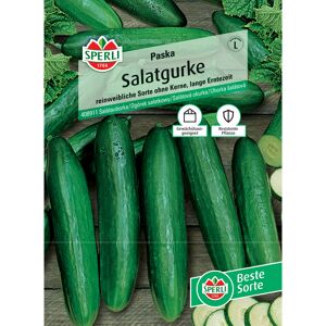 Salatgurke 'Paska' F1-Hybride